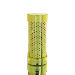 Hermeticacedarise Man