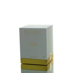 Birkholzvisionsofvenice Man