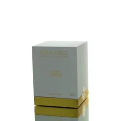 Birkholzvisionsofvenice Man