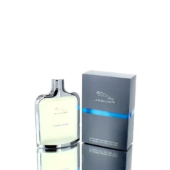 Jaguarclassicmotion Man